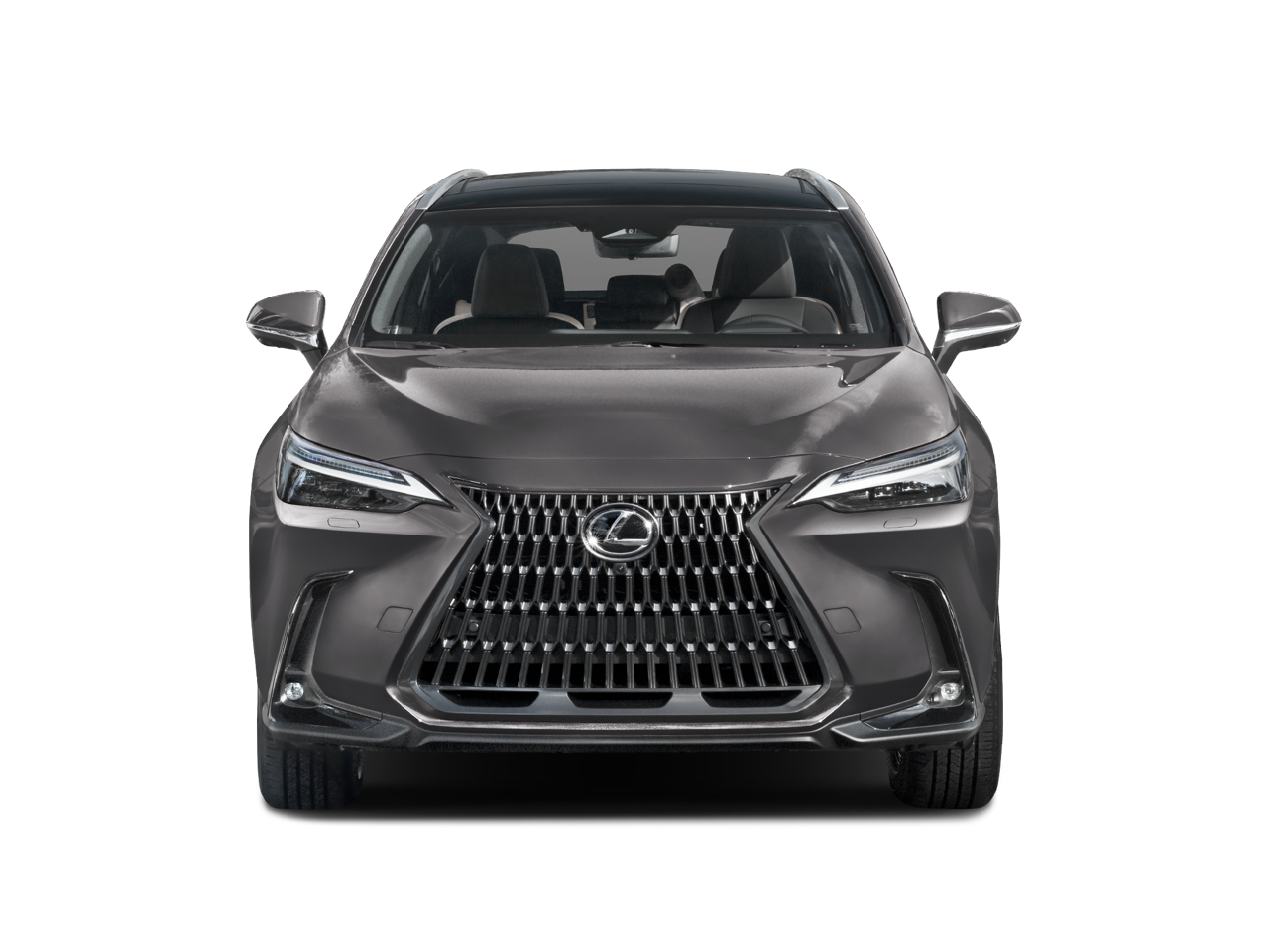 2025 Lexus NX 350h Luxury