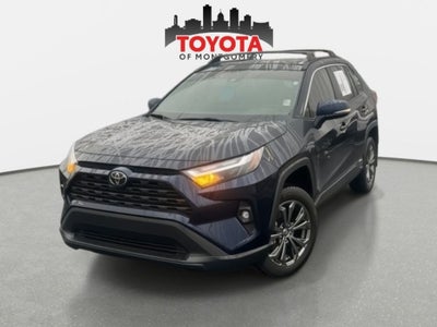 2025 Toyota RAV4 Hybrid XLE Premium