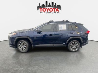 2025 Toyota RAV4 Hybrid XLE Premium
